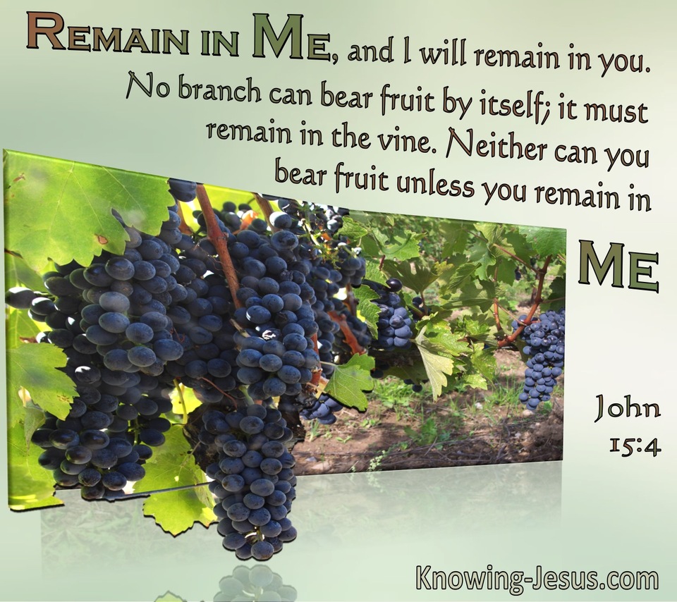 John 15:4 Remain In Me And I Will Remain In You (windows)08:21